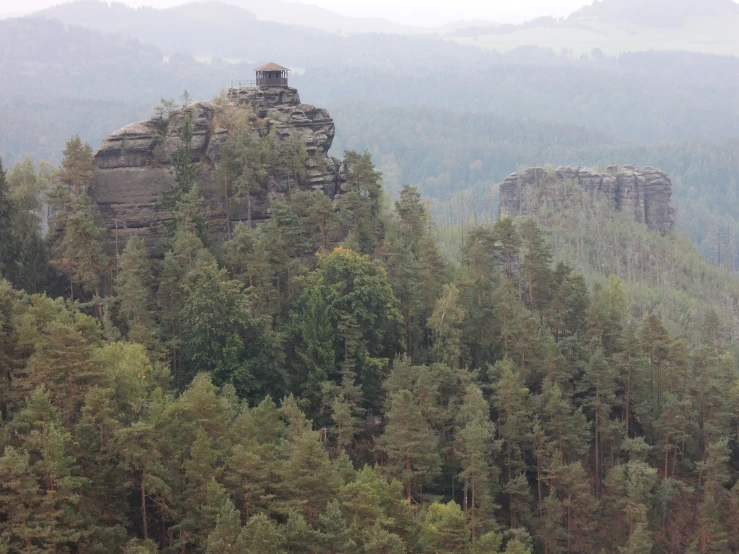 the rock formations rise into the foggy forest