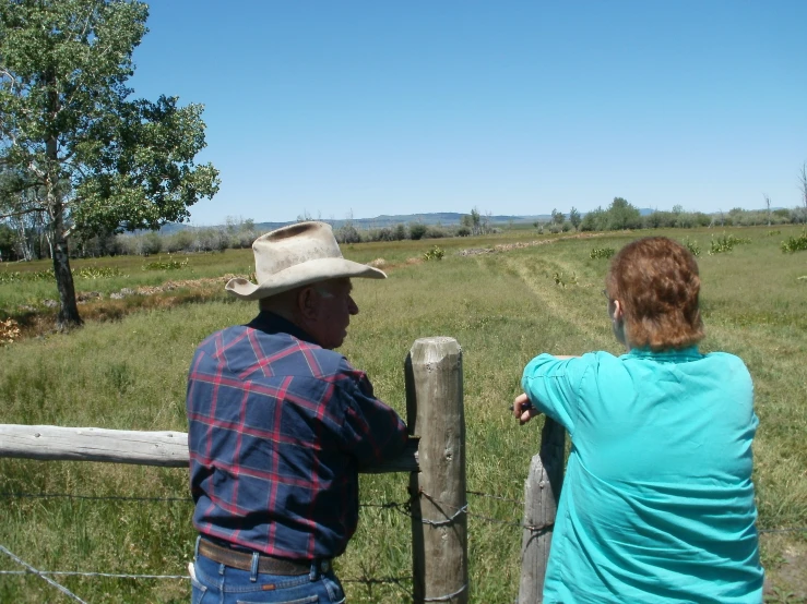 a man and woman watching a horse in a field