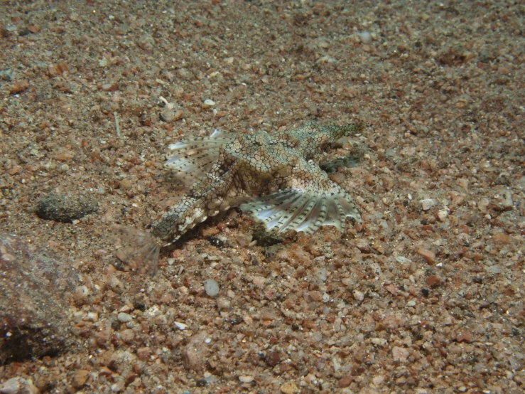 an object lying on the ground while its under water