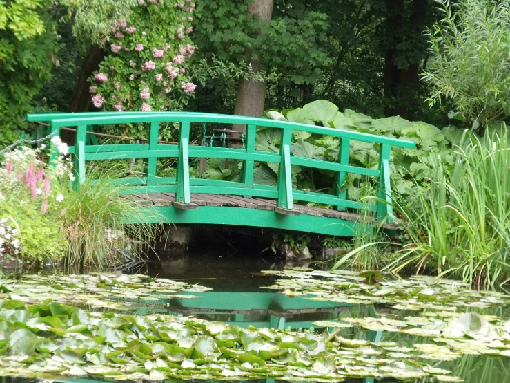 a green bridge over the water surrounded by greenery