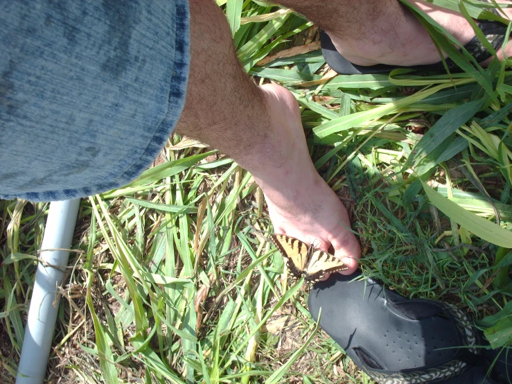 a person stands in some tall grass with shoes on