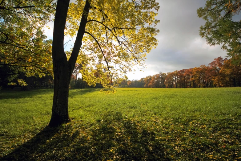 there is a lone bench at the edge of the field