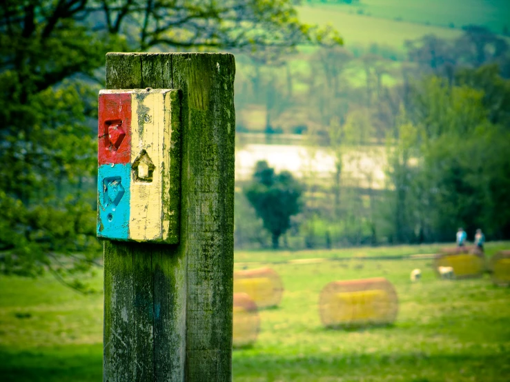 an old door is seen on a post in a pasture