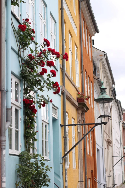 a street lined with different colored buildings with flowers on the side