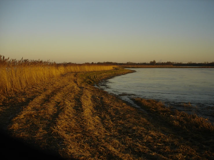 a picture of an open field on the side of a river