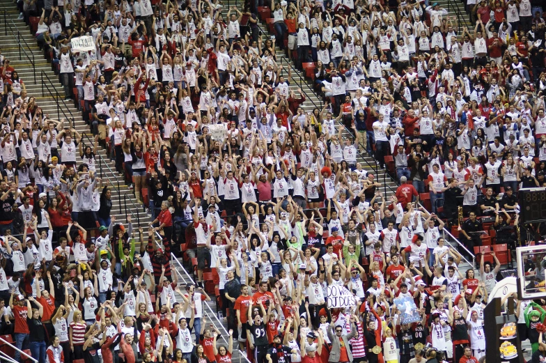 a large group of people at a sporting event