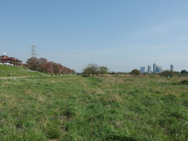 a large grassy hill with a city in the distance