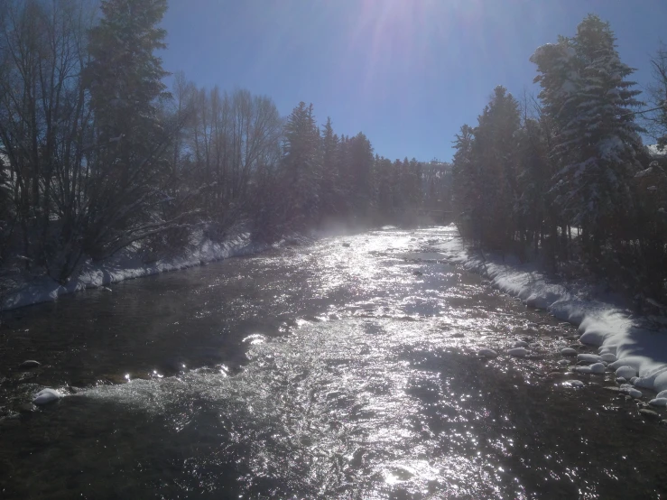 a view of a river and trees from above