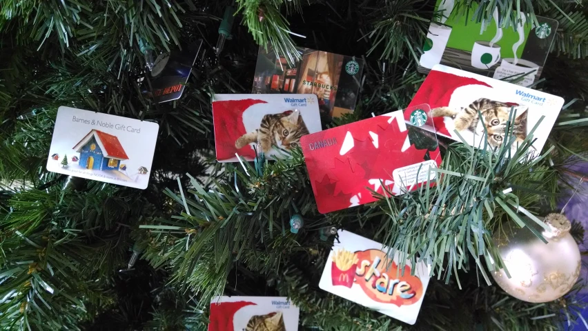 a christmas tree is filled with cat cards