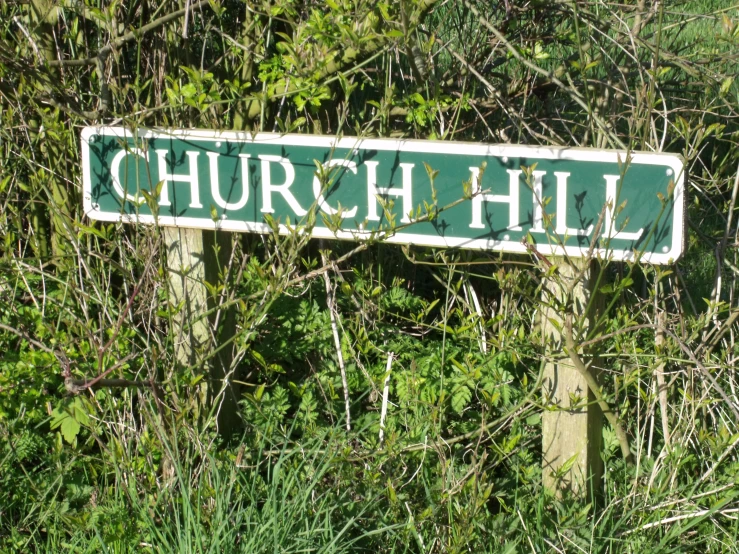 a white sign is in the bushes on the street