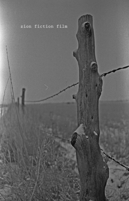 a wooden post and a barbed wire fence