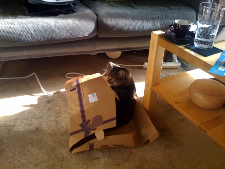 a cat is sitting in a box under the table