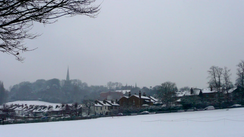 snow covers the tops of homes and trees in a neighborhood