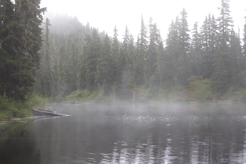 a small boat floating on a lake surrounded by woods