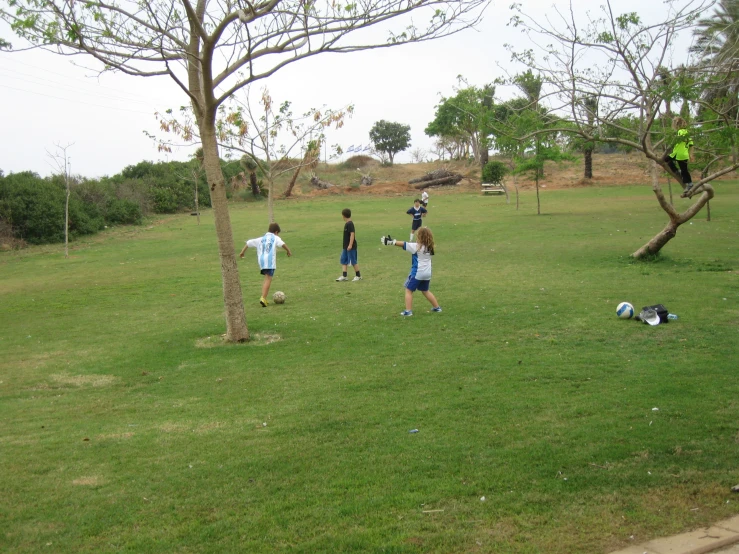 children play soccer in the park on a sunny day