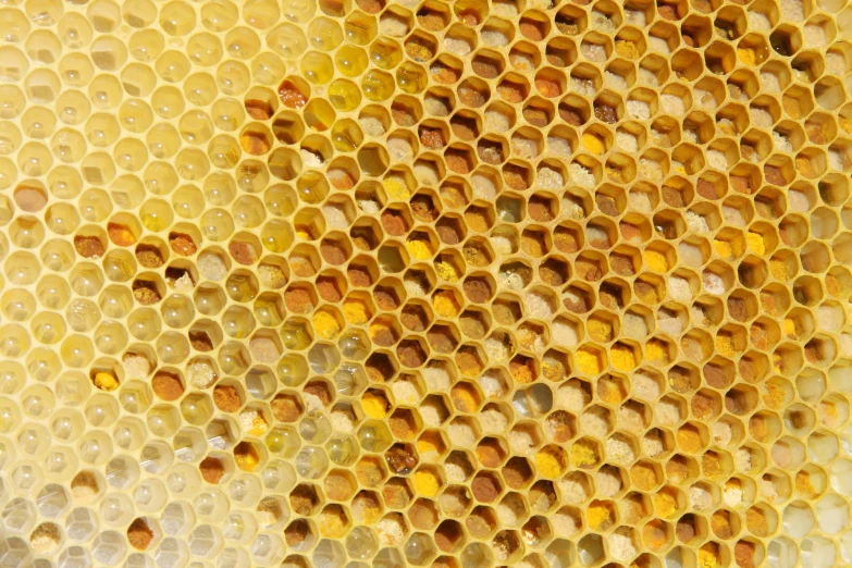 some water is being used to make a honeycomb