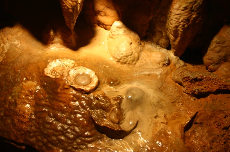 small birds sitting on top of a cave