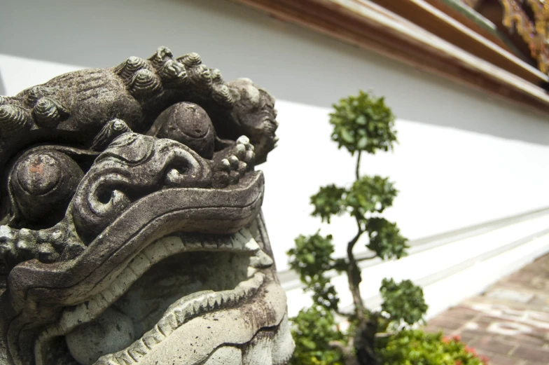 an intricate dragon head at a garden and temple