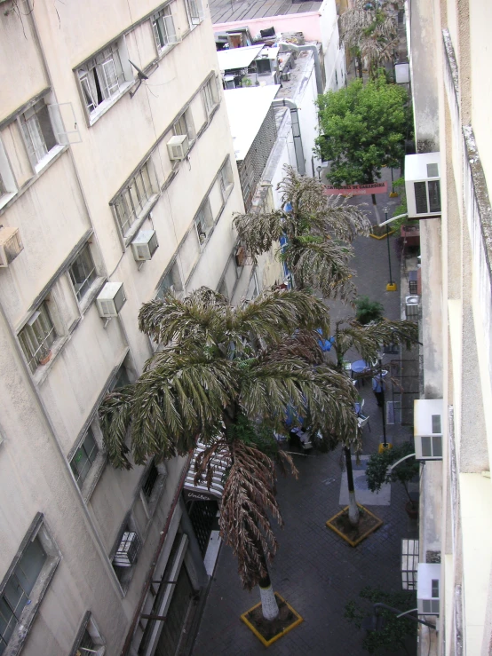 a view of a parking lot with palm trees