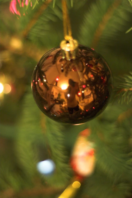 a tree ornament hangs on a lit pine nch