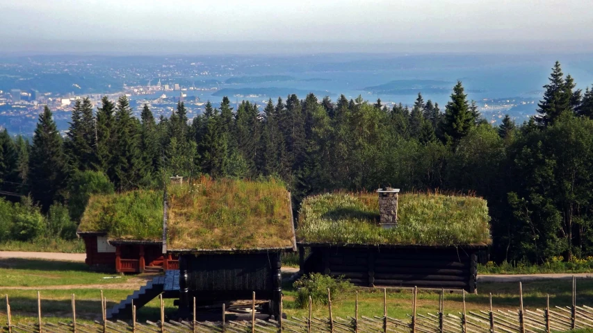 there are several wooden cabin buildings with grass roof