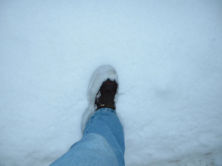someones feet in the snow next to some trees