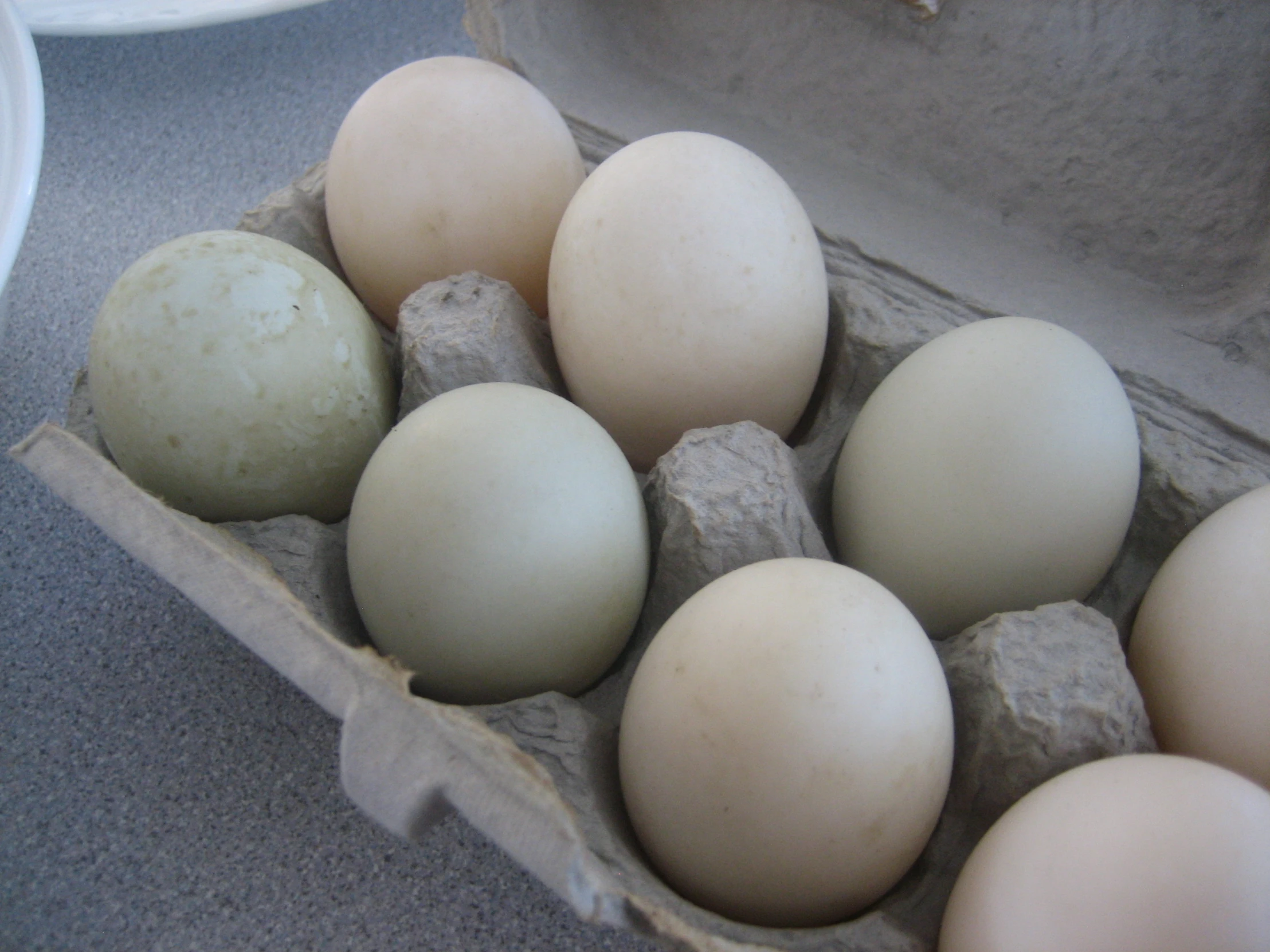 an open cardboard container of brown eggs on the table