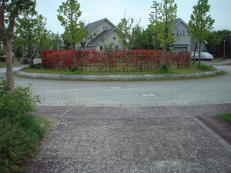 a deserted area surrounded by small homes and bushes