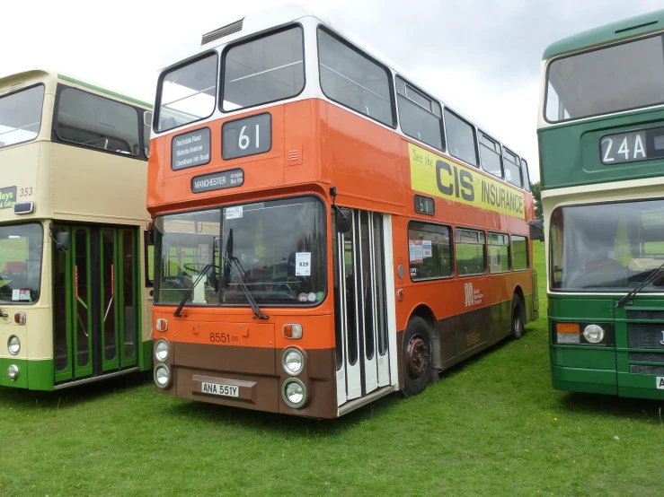 three double decker buses parked side by side on the grass