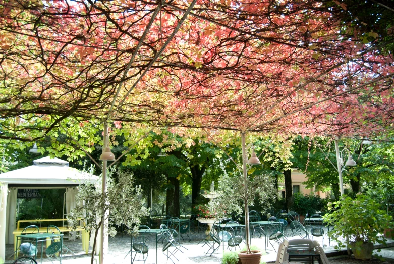 a bench that is sitting under a tree