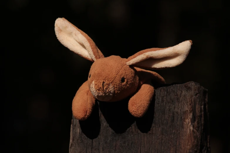 a brown stuffed bunny on top of a wooden post