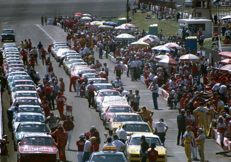 a large crowd of people are standing next to cars