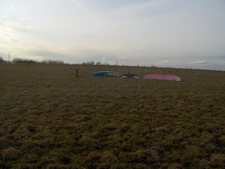 a person is walking with two kites on the field