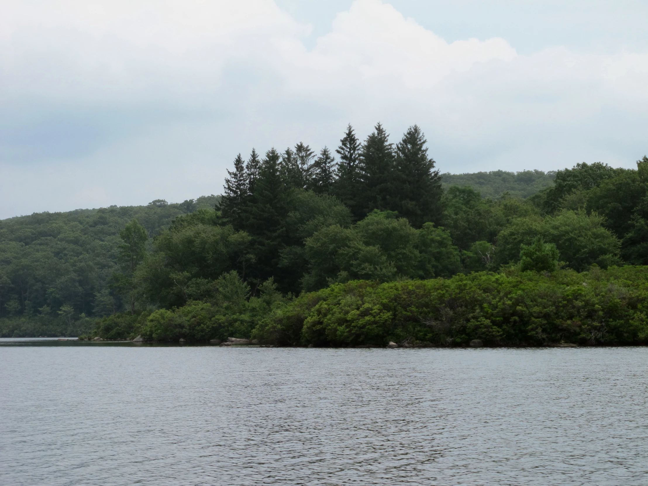 a lake with trees surrounding it