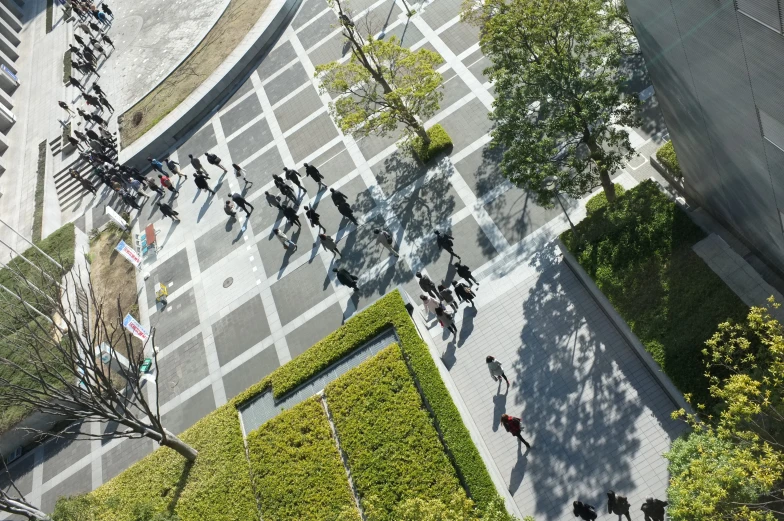 people walking in the middle of a square and tree lined street