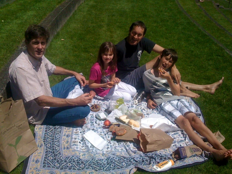 people are on the grass, eating at a picnic