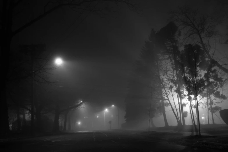 the foggy street lights and street lamps are lit