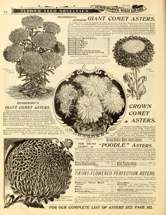 a old book showing some of the different flowers