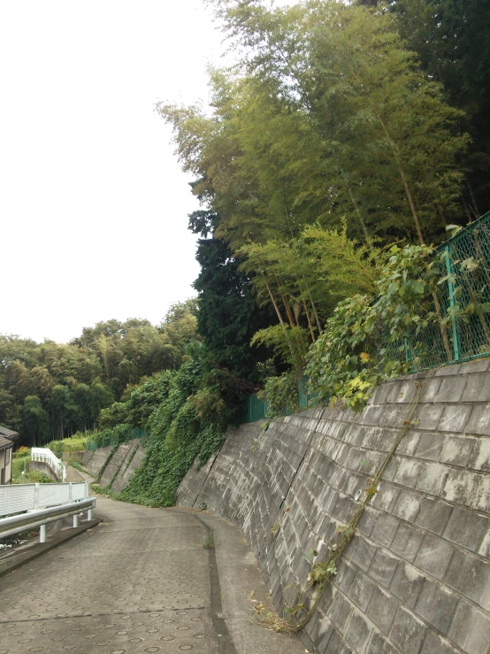 a person with a skateboard on a concrete ramp