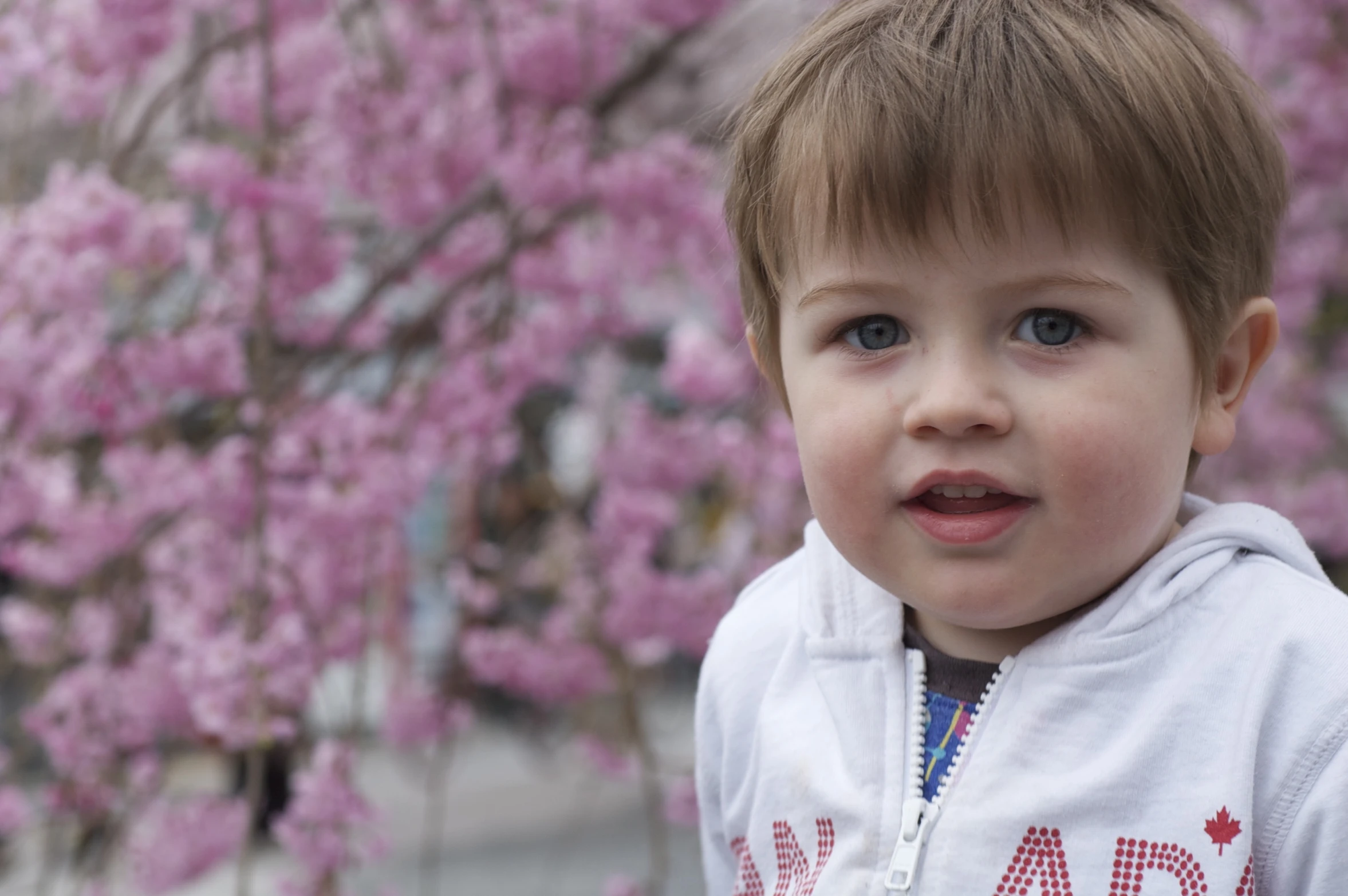 a child with blue eyes looks at the camera