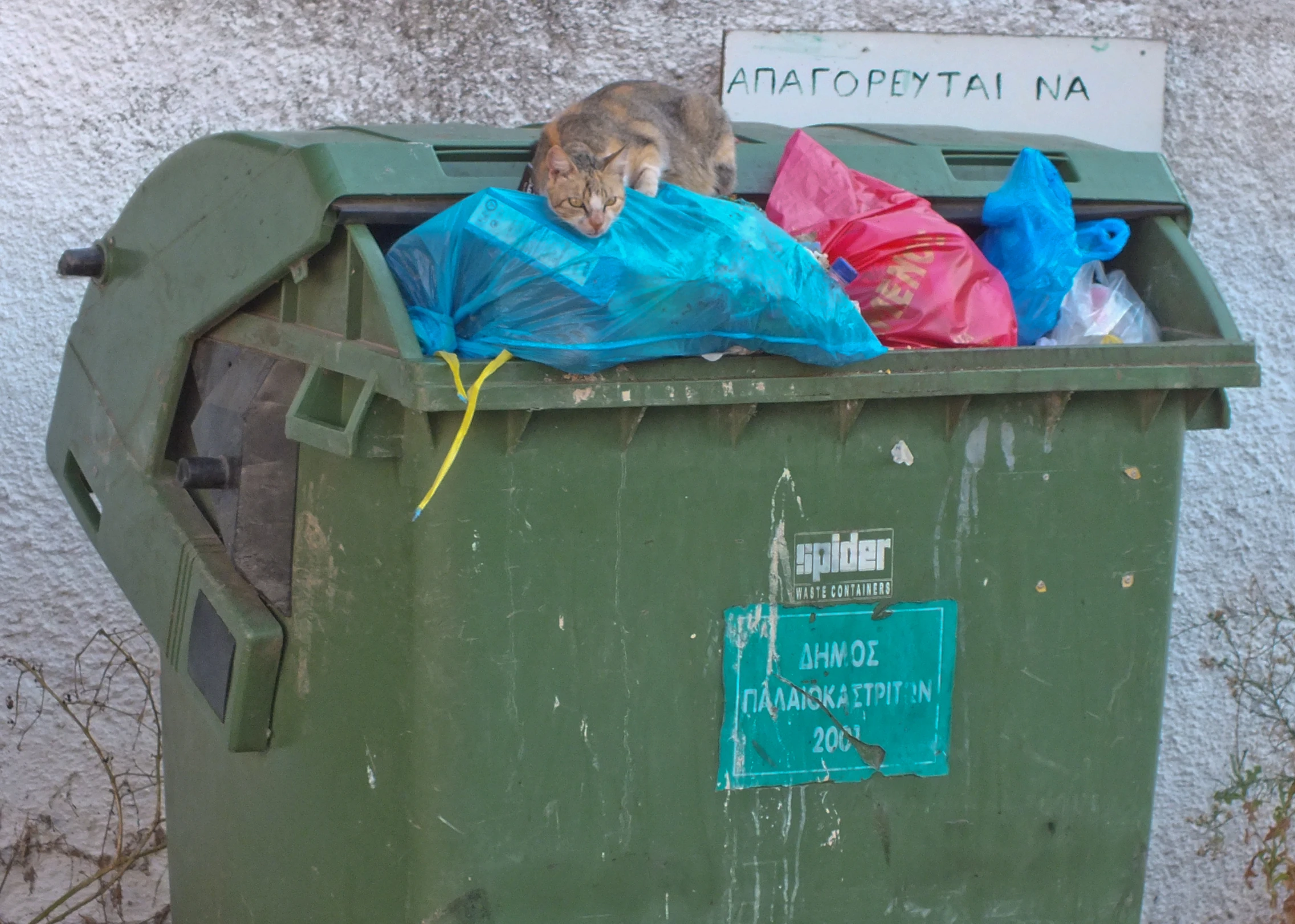 a cat sitting on top of an open garbage can