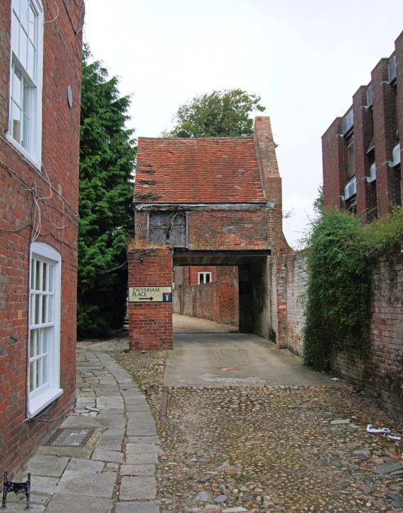 old buildings and a dog are shown in an alley