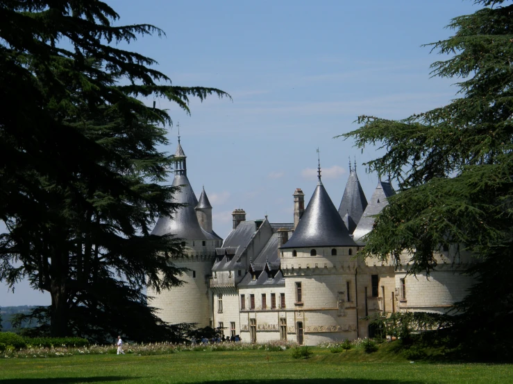 this is a beautiful white castle with trees around it