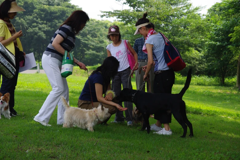 a group of people with dogs outside in the park