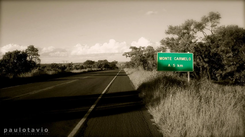 there is a green road sign in front of trees