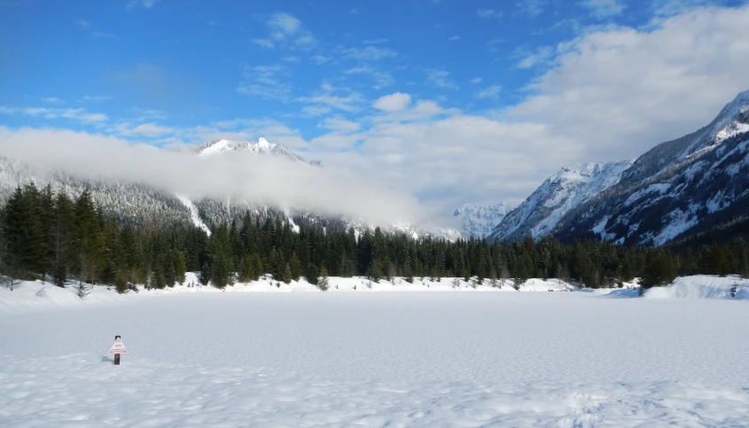 a person standing in the snow near a lake