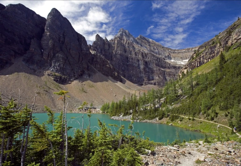 a large mountain with a bunch of trees around it