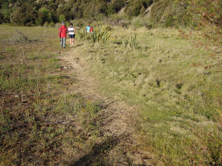 three people walking through a grassy area with trees