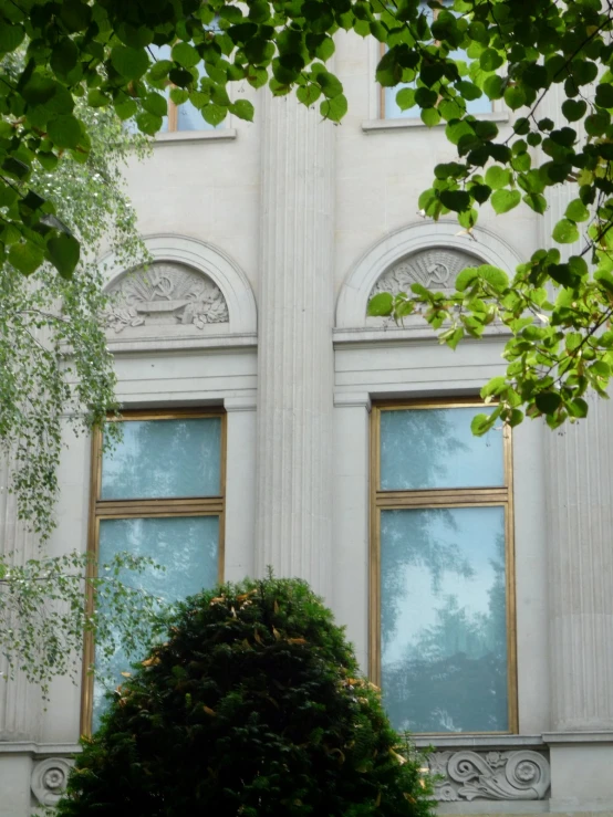 an abstract picture of two windows near a shrub