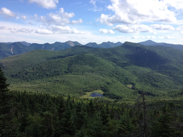 the mountains that form part of the forest